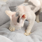 Pet Bed Mat New Pet Soft Dog Cat Blanket  Flower Shaped Doghouse