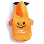 clothes for pets - Pumpkin pullover