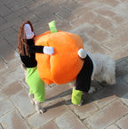 clothes for pets pumpkin costume