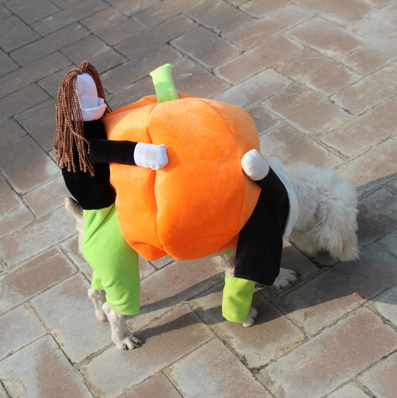 clothes for pets pumpkin costume