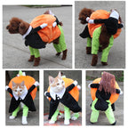 clothes for pets pumpkin costume