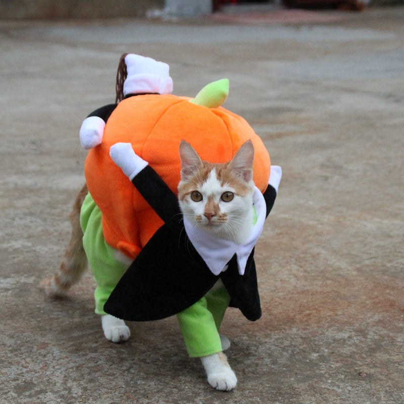 clothes for pets pumpkin costume
