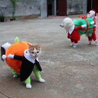 clothes for pets pumpkin costume