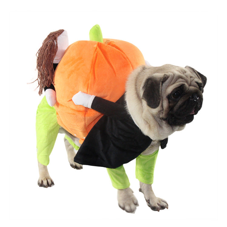 clothes for pets pumpkin costume