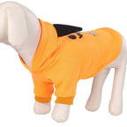 clothes for pets - Pumpkin pullover