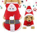 clothes for pets - christmas - new year