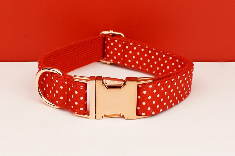 S3fab676ce2a04a17ab9cb9ca8e447cccF