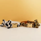 S4ab7f674a9134520a7984ae4dab245927