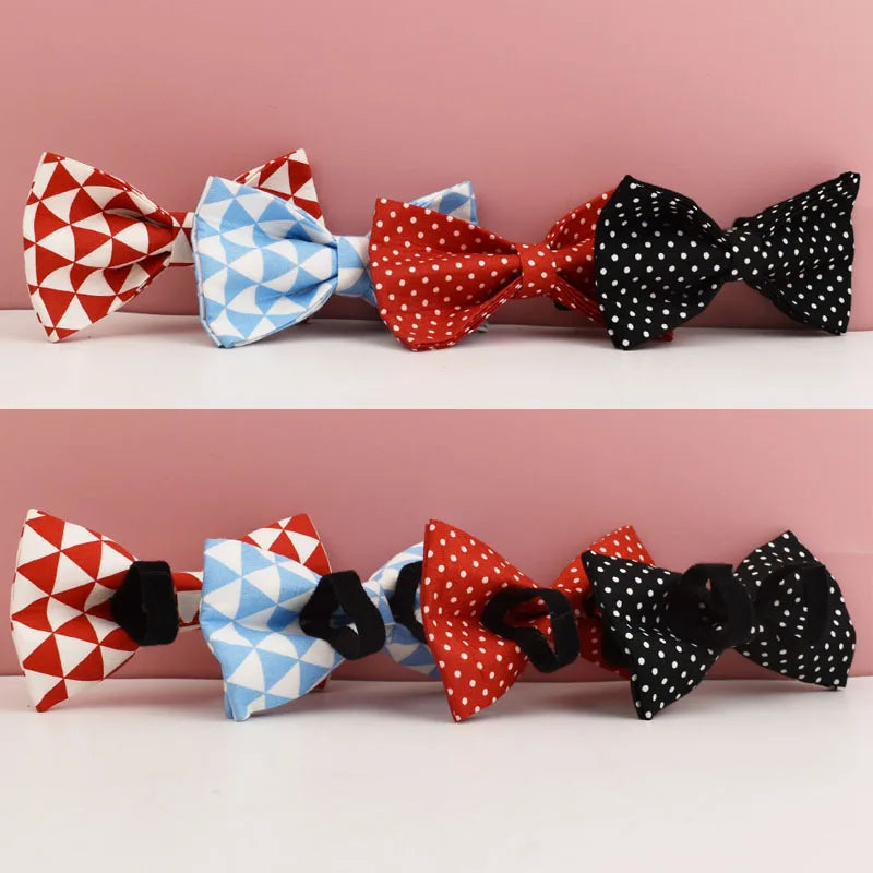 S4ad569b9c96944eeb53ae578d07bdd0cf