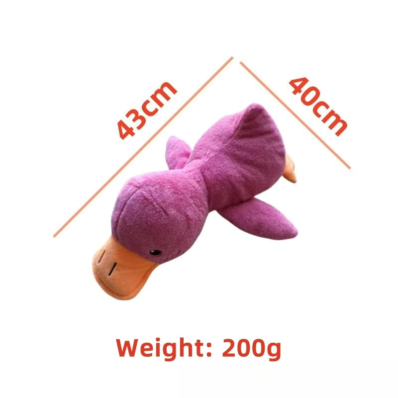 S67d6448529da48c4bc8b12442c58144bF