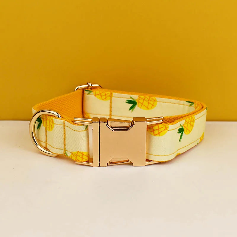 S819726aab56045c393cc11962a805755A