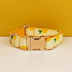 S819726aab56045c393cc11962a805755A