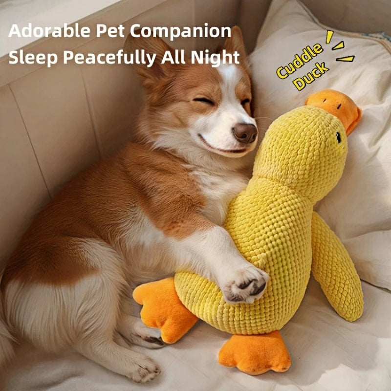 Sf2cf9428822240e9bb8824aab1f267382